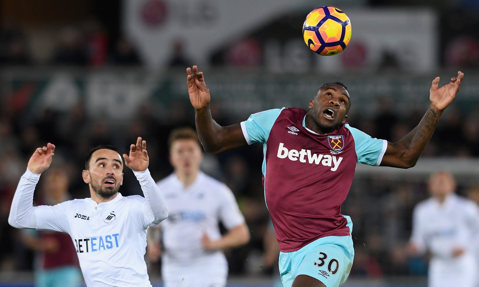 他不仅是一 他不仅是一